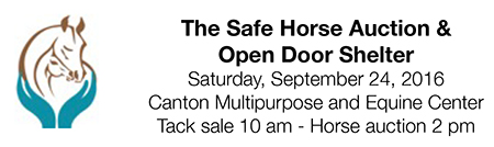 Safe Horse Auction & Open Door Shelter